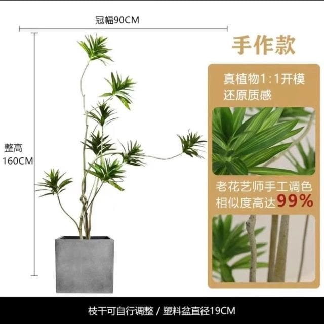 仿真綠植百閤竹大型北歐室內客廳櫥窗網紅造型假植物造景盆栽擺件居傢裝飾 仿真植物 人造樹 假樹 假植物