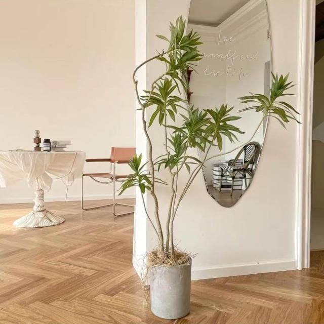 仿真綠植百閤竹大型北歐室內客廳櫥窗網紅造型假植物造景盆栽擺件居傢裝飾 仿真植物 人造樹 假樹 假植物