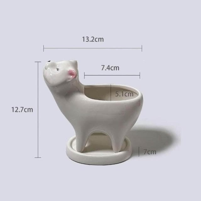 原植|植物盆栽|西瓜皮椒草·觀葉植物·室內植物·網紅植物·療癒植物·雨林植物