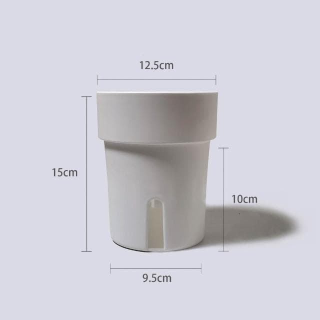 原植|植物|小天使蔓綠絨·水泥盆栽·植物·盆栽·淨化空氣·辦公室桌面盆栽·室內植物·網紅植物·3吋·5吋