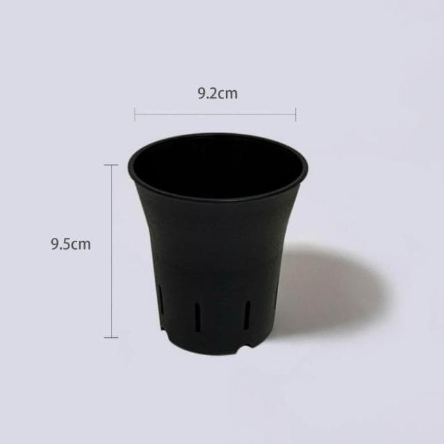 原植|植物|小葉鴨腳木·鵝掌藤·七葉藤·七葉蓮·手樹·耐陰植物·室內植物·盆栽·辦公室植物·水泥盆栽·3吋