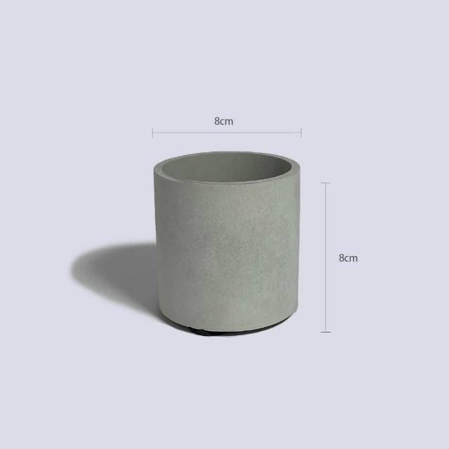 原植|植物|兔腳蕨·耐陰植物·室內植物·蕨類·觀葉植物·療癒植物·辦公室植物·水泥盆栽·好照顧·3寸