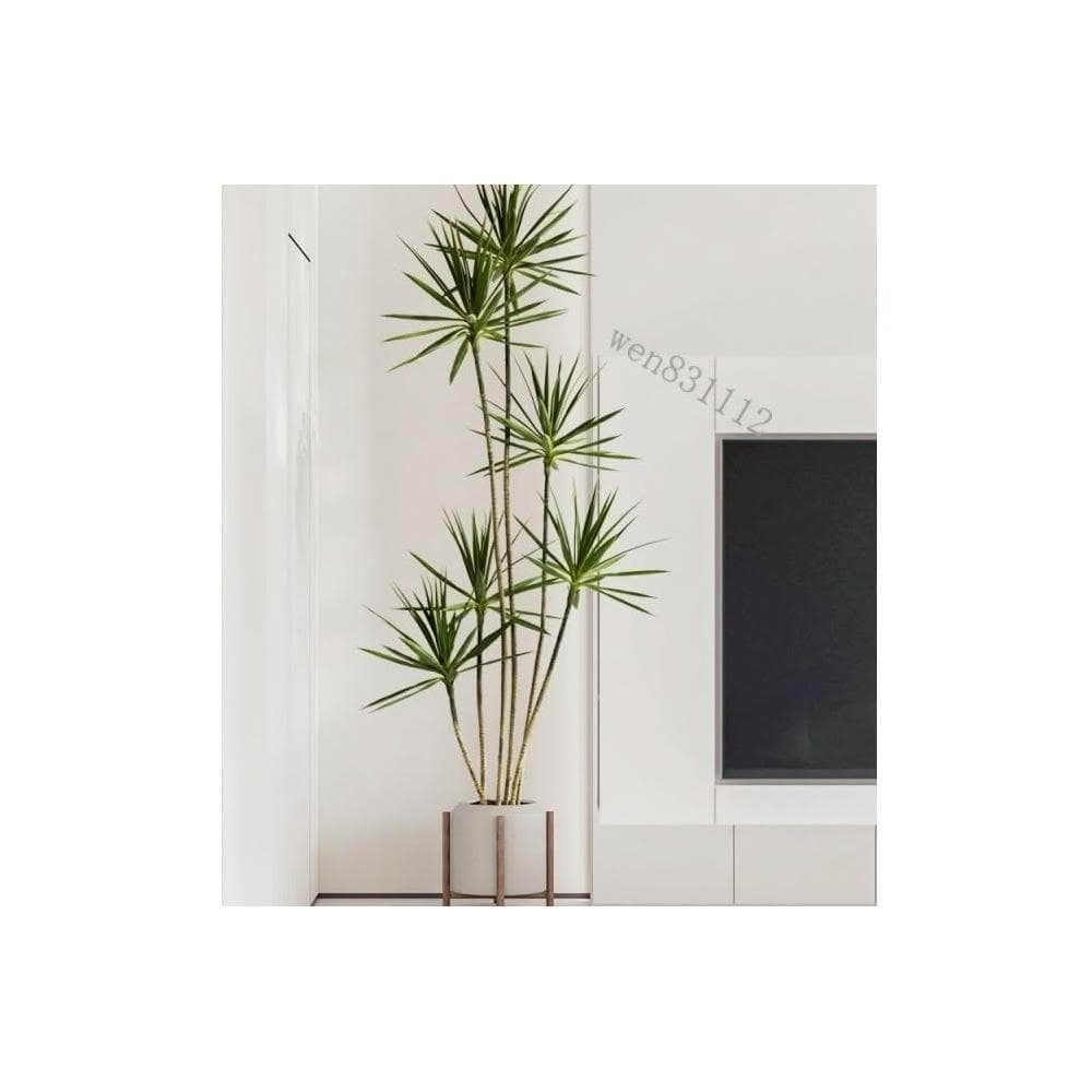 輕奢大型仿真綠植 龍舌蘭假植物盆栽 室內客廳裝飾傢居 落地盆景 室內室外擺件裝飾 免打理盆栽