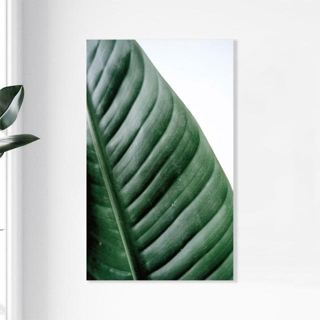 【Noname】植物一隅 植物畫 壁畫 板畫 背景畫 台灣工廠 北歐畫 掛畫 裝飾 畫 簡約 清新 掛布 文青 抽象畫 複製畫