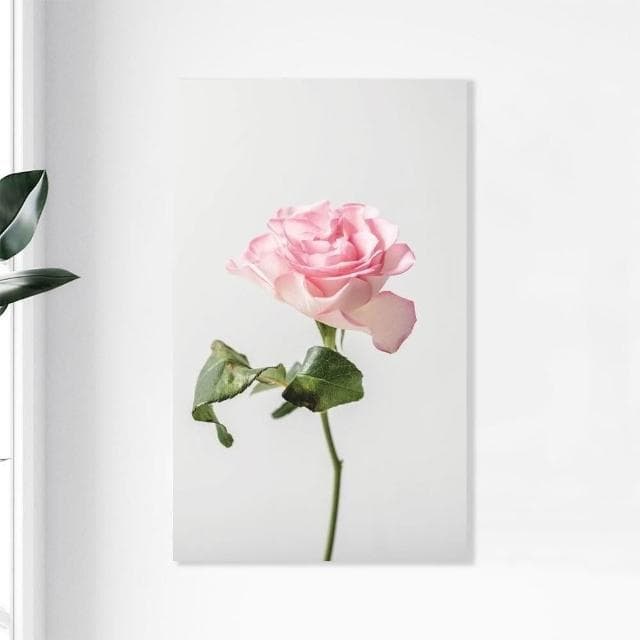 【Noname】植物一隅 植物畫 壁畫 板畫 背景畫 台灣工廠 北歐畫 掛畫 裝飾 畫 簡約 清新 掛布 文青 抽象畫 複製畫