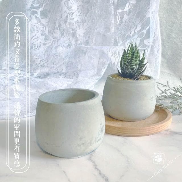 圓弧水泥盆 2吋盆 多肉盆栽 家用植物盆 有底孔 小盆栽 小陶盆【瘋伍金】