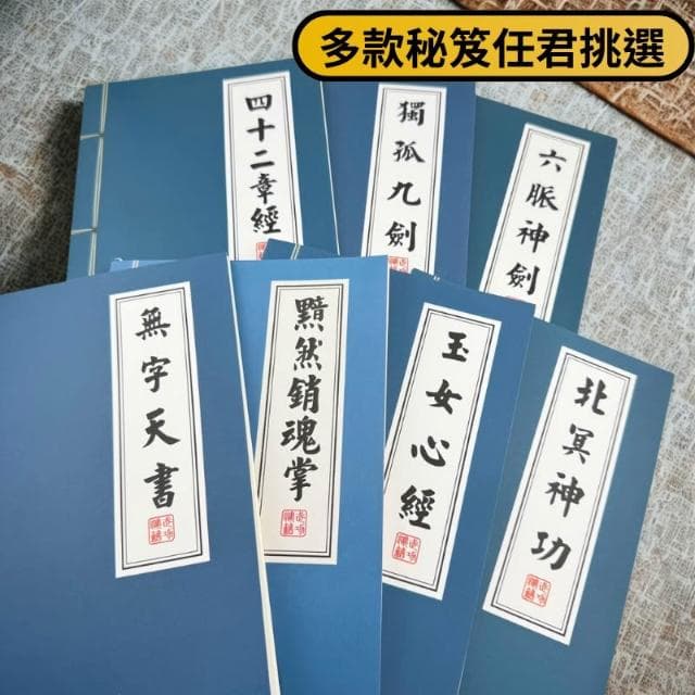 武功祕笈筆記本 橫線內頁 創意筆記本 絕世神功 中國功夫 辦公用品 交換禮物 搞笑日記 筆記本