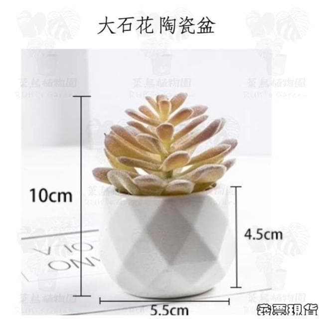 沐晨植物園|仿真植物 仿真多肉 盆栽裝飾 小盆栽假植物 假盆栽 辦公室盆栽 迷你盆栽 仿真盆栽 仿真植物盆栽 居家裝飾