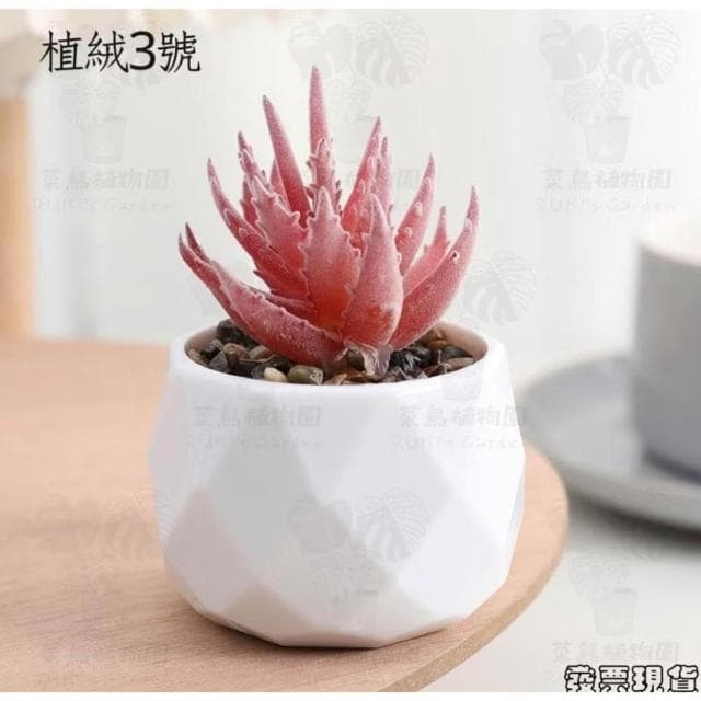 沐晨植物園|仿真植物 仿真多肉 盆栽裝飾 小盆栽假植物 假盆栽 辦公室盆栽 迷你盆栽 仿真盆栽 仿真植物盆栽 居家裝飾