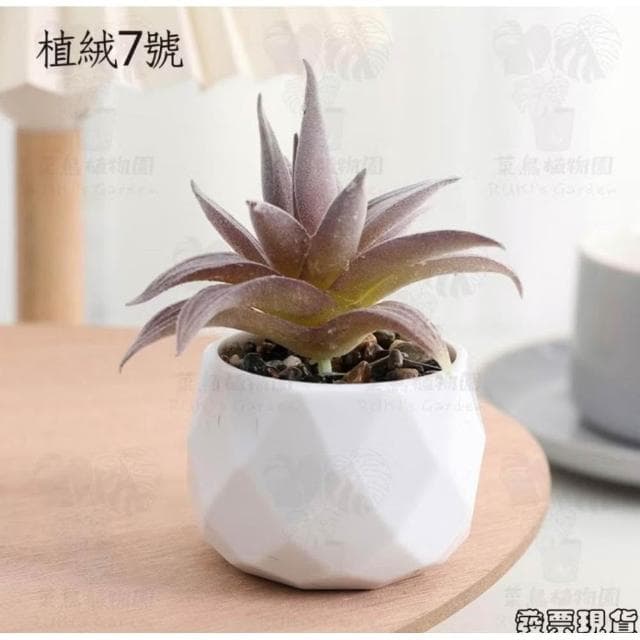 沐晨植物園|仿真植物 仿真多肉 盆栽裝飾 小盆栽假植物 假盆栽 辦公室盆栽 迷你盆栽 仿真盆栽 仿真植物盆栽 居家裝飾