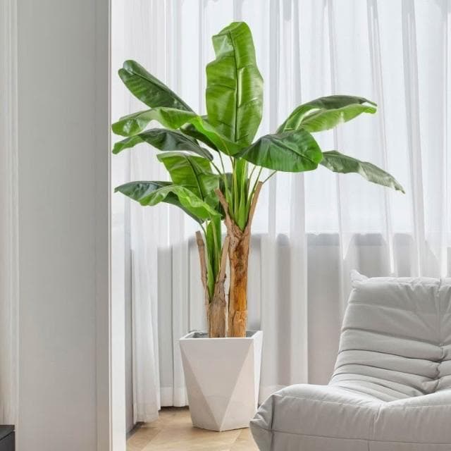 【未晚家居館】 仿真綠植芭蕉樹室內裝飾大型落地式盆栽擺件客廳高檔ins風假植物