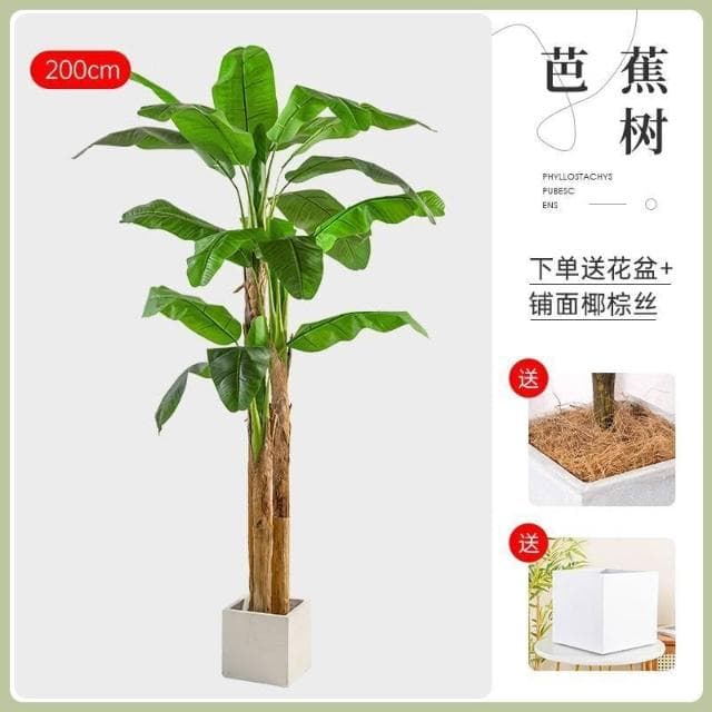 【未晚家居館】 仿真綠植芭蕉樹室內裝飾大型落地式盆栽擺件客廳高檔ins風假植物