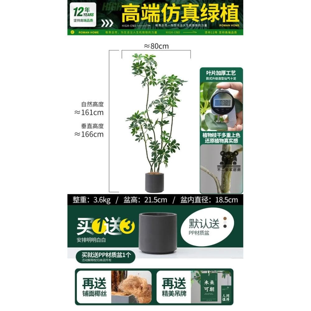 仿真綠植鴨腳木  仿真樹 仿生植物 高端輕奢擺件 盆栽擺件 簡約現代擺件 大型室內落地擺件