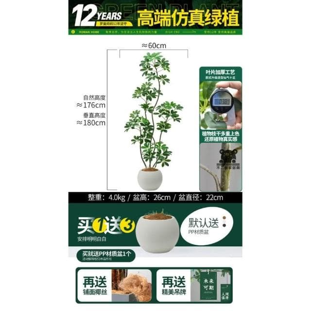 仿真綠植鴨腳木  仿真樹 仿生植物 高端輕奢擺件 盆栽擺件 簡約現代擺件 大型室內落地擺件