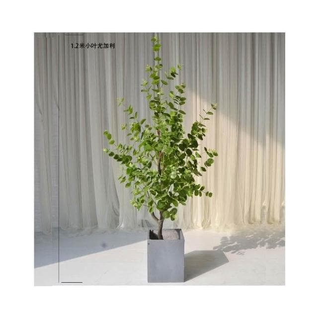 仿真綠植盆景 室內裝飾 落地盆栽  仿真樹 仿真綠植裝飾 室內大型植物落地 尤加利 金錢葉 假樹人造盆栽