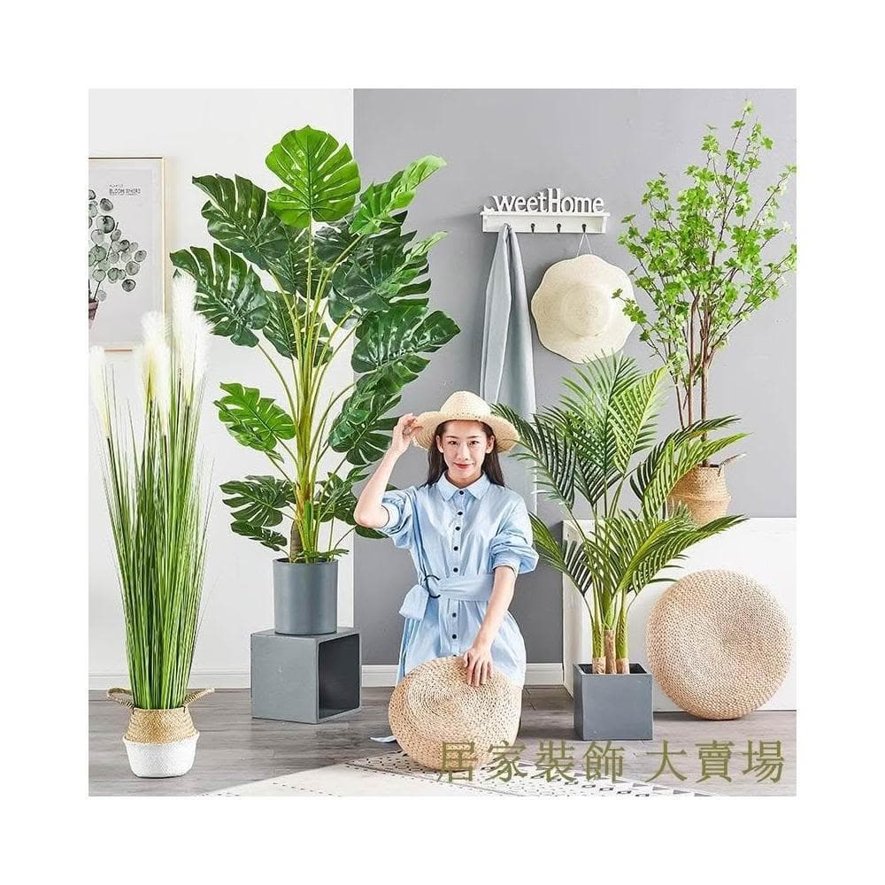 樹 龜背葉 琴葉榕 大型北歐ins風旅人蕉天堂鳥客廳落地假盆栽景植物擺件樹