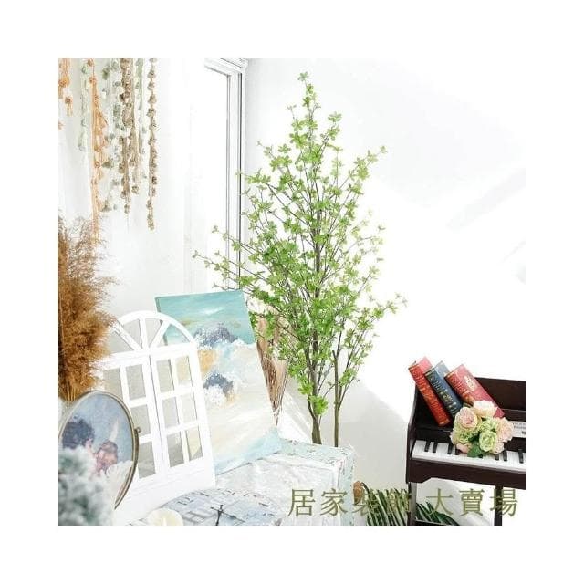 樹 龜背葉 琴葉榕 大型北歐ins風旅人蕉天堂鳥客廳落地假盆栽景植物擺件樹