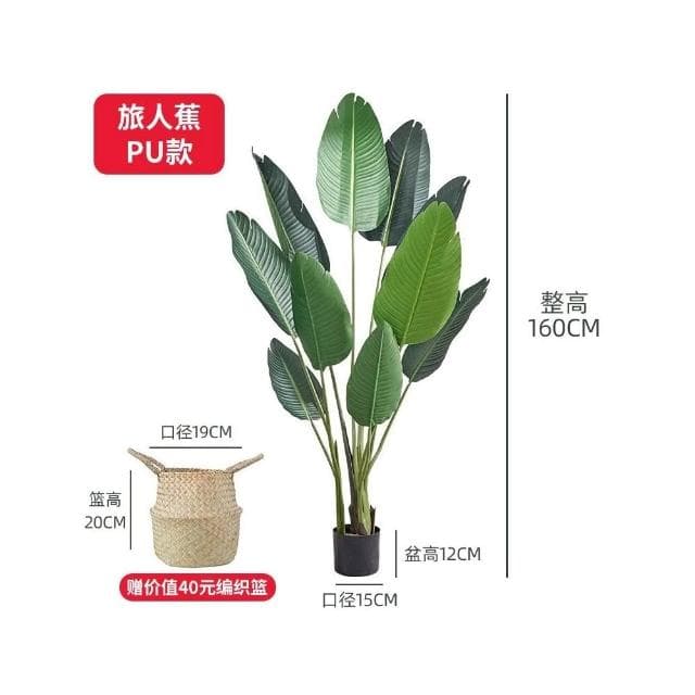 樹 龜背葉 琴葉榕 大型北歐ins風旅人蕉天堂鳥客廳落地假盆栽景植物擺件樹