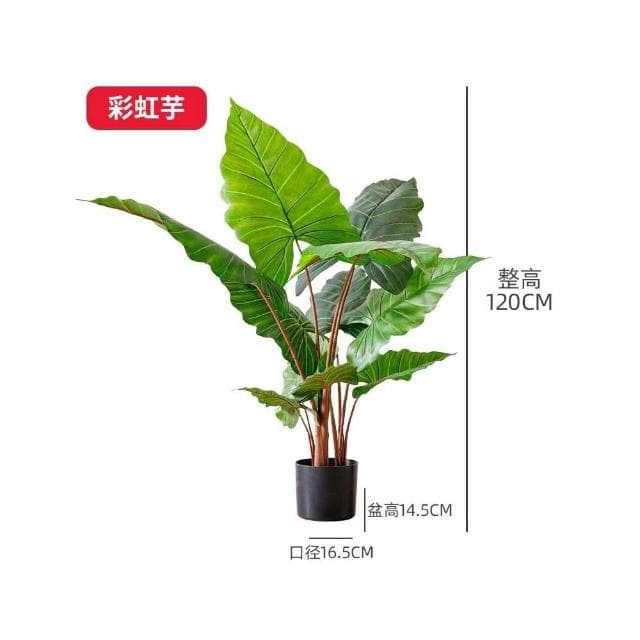 樹 龜背葉 琴葉榕 大型北歐ins風旅人蕉天堂鳥客廳落地假盆栽景植物擺件樹