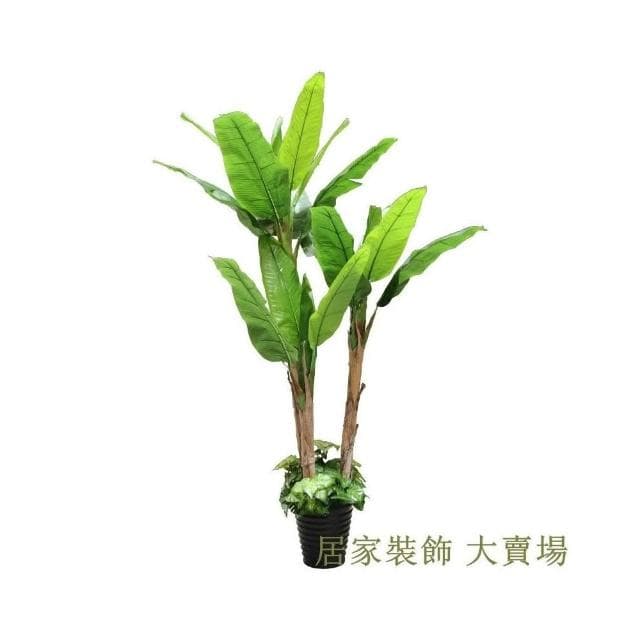 仿真綠植  龜背葉 琴葉榕 芭蕉樹仿真植物盆栽客廳假樹塑料大型裝飾椰子綠植仿真樹落地盆景