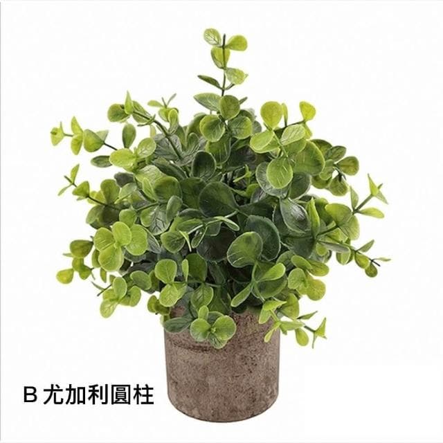 【Warm House Decor 暖和家居】北歐綠化仿真植物 (小盆栽 桌面小盆栽 假植物 盆栽 辦公室綠化 仿真植物)