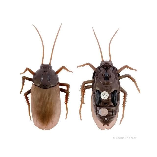 遙控蟑螂 1288 電動蟑螂 /一個入 紅外線 遙控昆蟲 假蟑螂 整人玩具 仿真 蟑螂玩具 惡作劇 嚇人 搞笑交換禮物