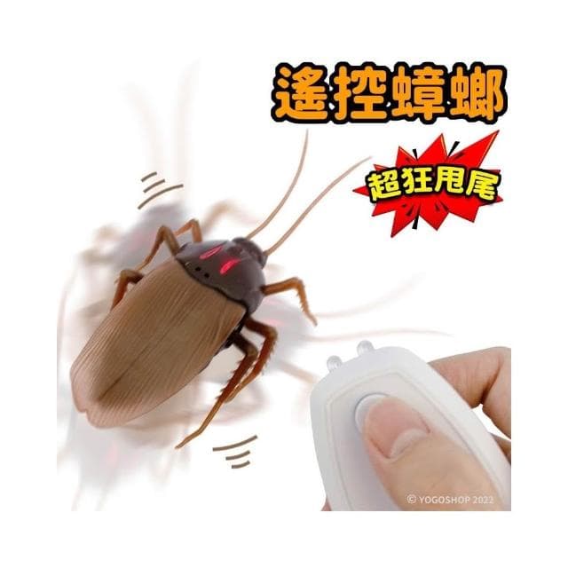 遙控蟑螂 1288 電動蟑螂 /一個入 紅外線 遙控昆蟲 假蟑螂 整人玩具 仿真 蟑螂玩具 惡作劇 嚇人 搞笑交換禮物
