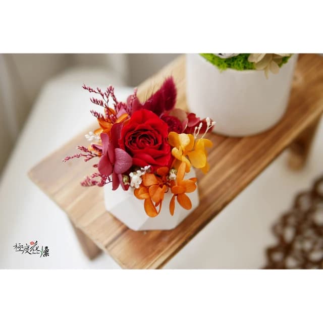 【極度花燥】擴香盆資材