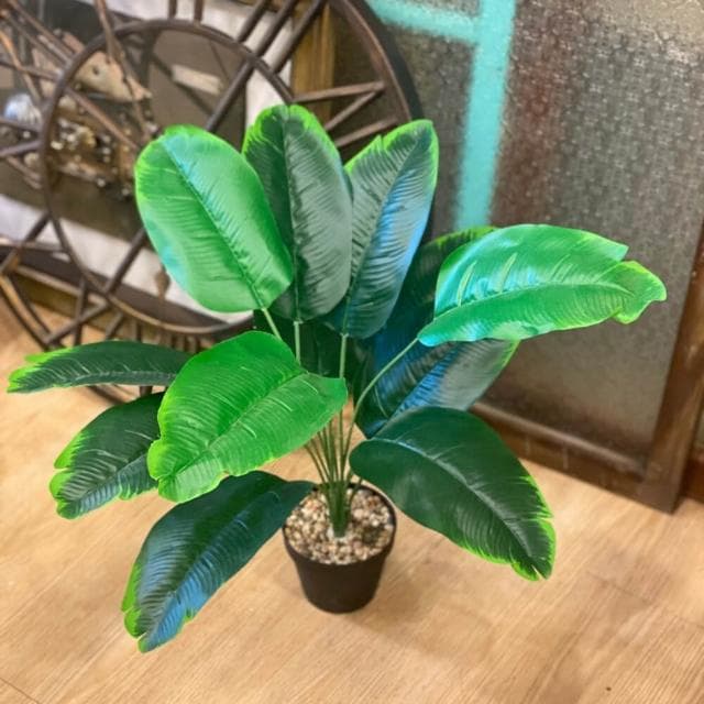 龜背葉 仿真植物 假盆栽 龜背芋 室內植物 花 植物 植栽 假植物 人造植物 GXS拍照道具(仿真植物 假盆栽)