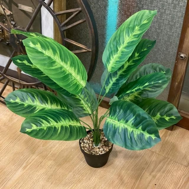 龜背葉 仿真植物 假盆栽 龜背芋 室內植物 花 植物 植栽 假植物 人造植物 GXS拍照道具(仿真植物 假盆栽)