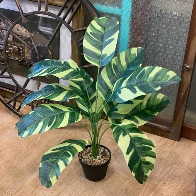 龜背葉 仿真植物 假盆栽 龜背芋 室內植物 花 植物 植栽 假植物 人造植物 GXS拍照道具(仿真植物 假盆栽)