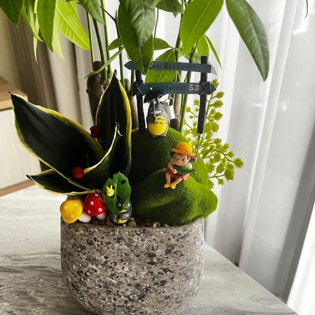 |組合盆栽|發財樹 D 款(附底盤)/觀葉植物/水泥盆盆栽/居家美化/開幕盆栽/宅配到府