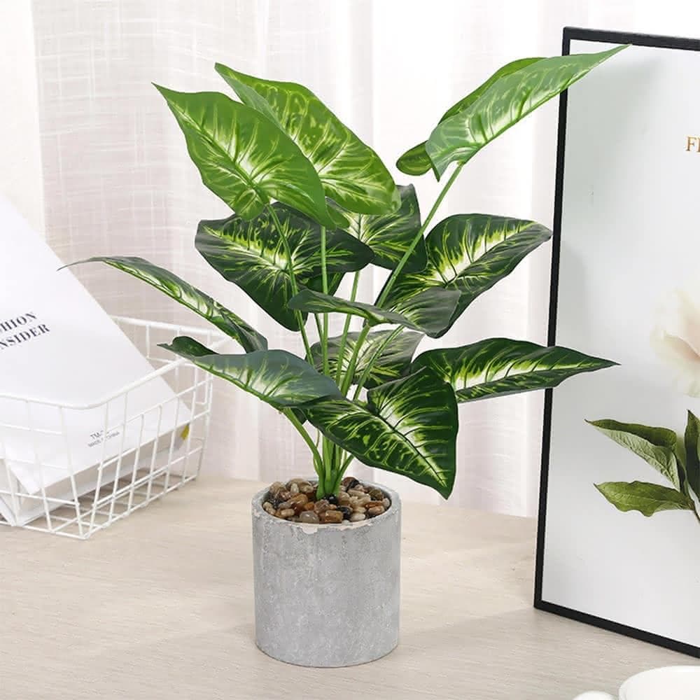 【Warm House Decor 暖和家居】台灣現貨北歐仿真植物擺飾(植物盆栽 仿真盆栽 仿真植物 植栽 仿真花 仿真植物 擺飾 居家裝飾 裝飾植物北歐仿真植物擺飾 植物盆栽 仿真盆栽 仿真植物 植栽 仿真花 仿真植物 擺飾 居家裝飾 裝飾植物)