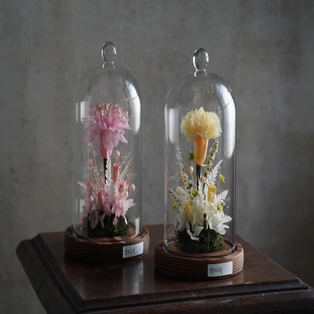 永生花玻璃罩 母親節禮物 康乃馨 乾燥花(永生花 乾燥花 母親節 禮物 媽媽生日)