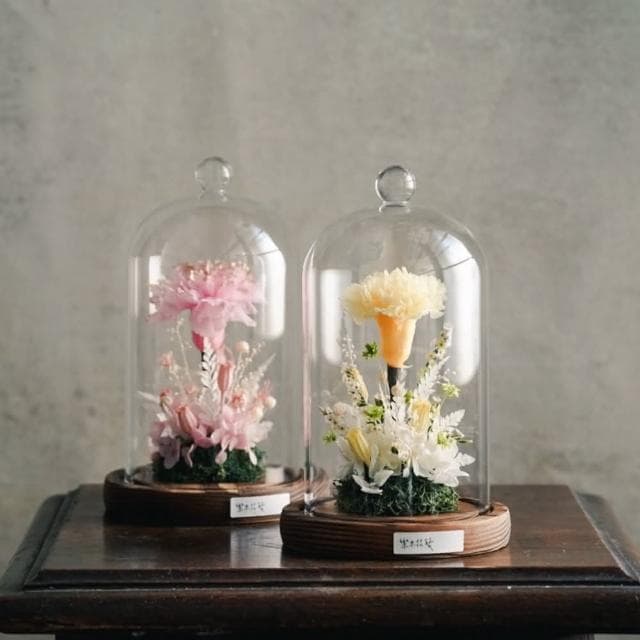 永生花玻璃罩 母親節禮物 康乃馨 乾燥花(永生花 乾燥花 母親節 禮物 媽媽生日)