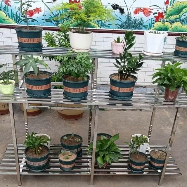 不鏽鋼花架 盆栽架 花盆架 多肉架 陽臺客廳落地式鐵藝多肉置物架不銹鋼雙層花盆架子植物二層直立式