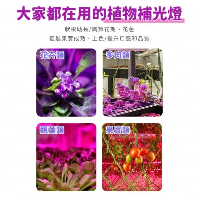 植物燈帶 植物燈 植物生長燈 植物日照燈 植物燈管 多肉燈 補光燈 夾燈 燈管 盆栽燈 燈帶 生長燈 水草燈