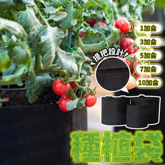 種植袋 有提把/無提把 移植袋 種植袋育苗袋 植物袋 植栽袋 植樹袋 不織布 無紡布 美植袋 移植袋育苗袋