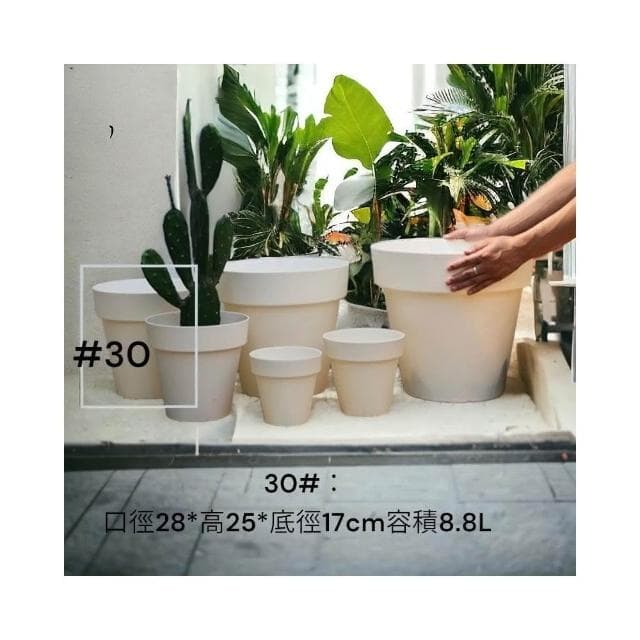 《斑啾植選》透氣疏水盆30#|北歐風|附底盤|盆栽容器|簡約無印風 |盆器|多肉植物|觀葉植物