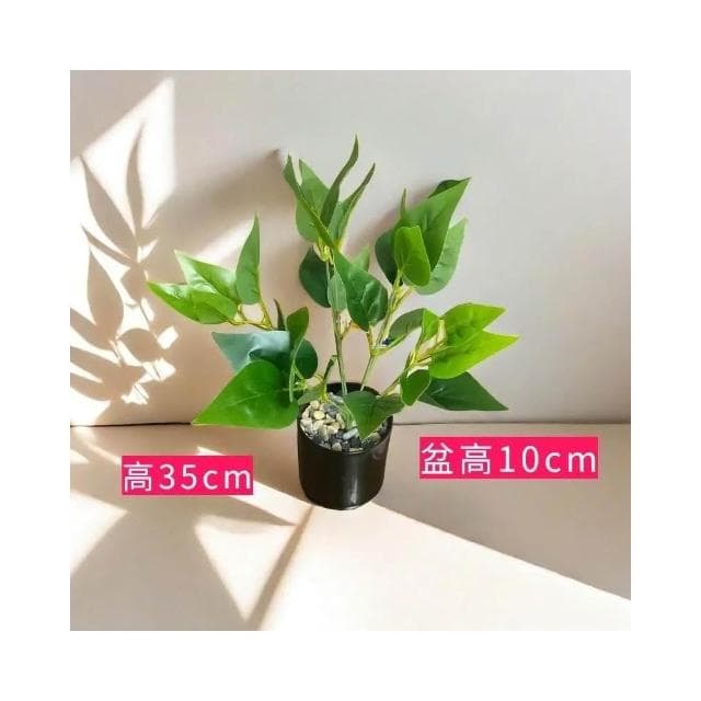 🔥部分現貨 北歐ins風仿真植物 客廳仿真綠植龜背竹小盆栽 假綠植擺件 裝飾假花仿真花擺設 綠植裝飾擺件 擺飾假花