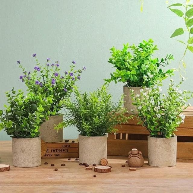 免運 現貨 北歐綠化盆栽 仿真植物 小盆栽 盆栽 辦公室盆栽 桌面小盆栽 室內盆栽 植物擺飾 綠化植物 植物