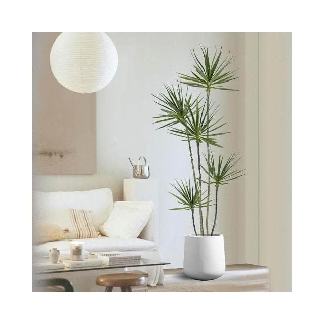 仿真綠植擺件 假植物裝飾 室內千年木 仿真盆栽 仿生綠植 客廳大型盆景裝飾