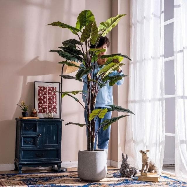 暖巢家居 宅配免運+預購 大型仿真闊葉植物 彩虹芋 假樹盆栽 客廳仿生綠植 造景裝飾 綠植擺件 沙發邊大型仿真綠植