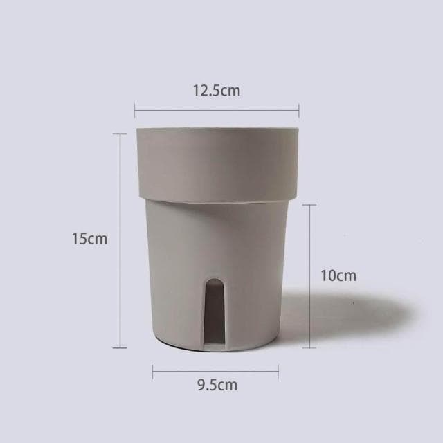 原植|植物|小天使蔓綠絨·水泥盆栽·植物·盆栽·淨化空氣·辦公室桌面盆栽·室內植物·網紅植物·3吋·5吋