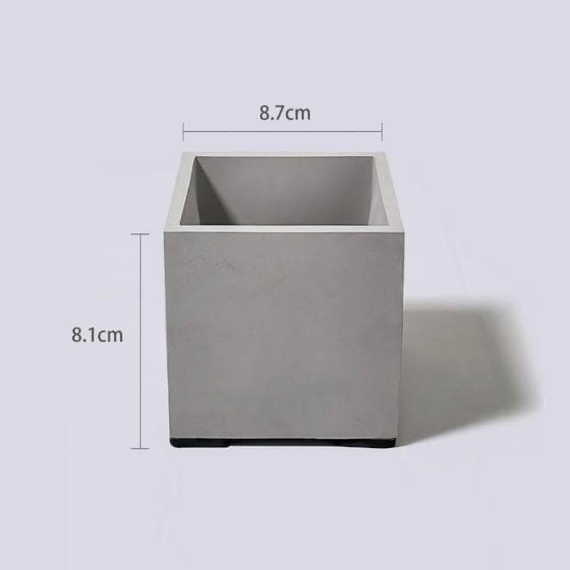 原植|植物|兔腳蕨·耐陰植物·室內植物·蕨類·觀葉植物·療癒植物·辦公室植物·水泥盆栽·好照顧·3寸