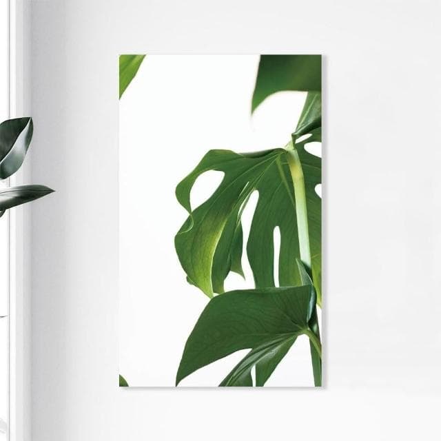 【Noname】植物一隅 植物畫 壁畫 板畫 背景畫 台灣工廠 北歐畫 掛畫 裝飾 畫 簡約 清新 掛布 文青 抽象畫 複製畫