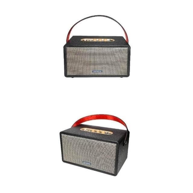 【AIWA 愛華】藍牙喇叭 (RS-X150 Natsukasii Pro)-棕色/黑色