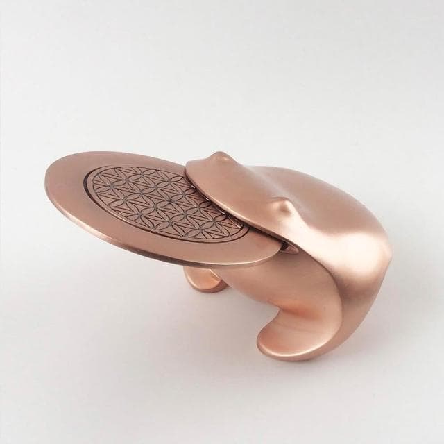 【招財揪吉】揪吉萬貫 禮盒 含能量錢幣《WUZ屋子》入厝禮 開店禮 搬家禮 送禮 招財 轉運 風水