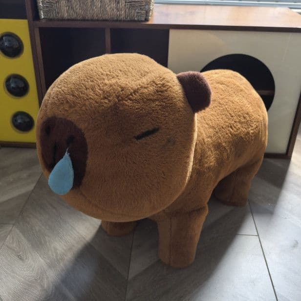 卡皮巴拉溜溜凳呆萌動物造型板凳帶輪子兒童毛絨坐墩搞怪生日禮物