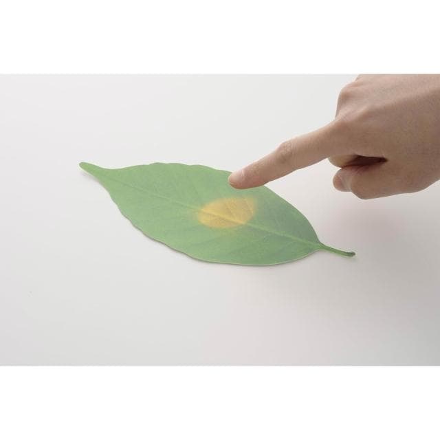 h concept 葉子溫度計 5入(日本 色溫變化 感受四季 日本文創 居家貼式 送禮推薦 聖誕 交換禮物 )